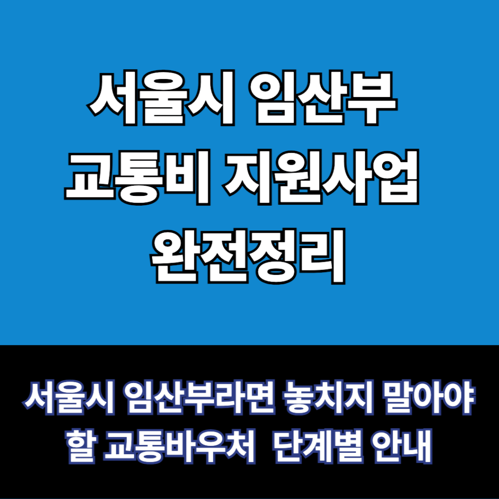 서울시 임산부 교통비 지원사업 정리