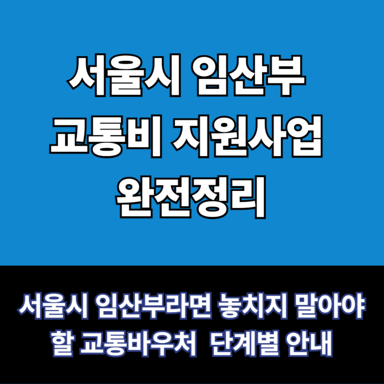 서울시 임산부 교통비 지원사업 정리