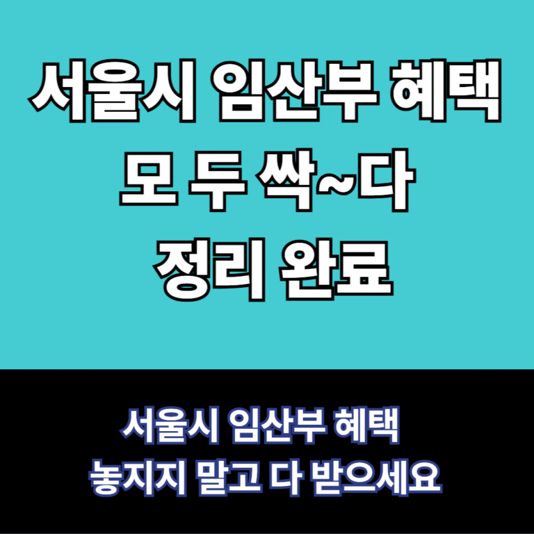 서울시 임산부 혜택정리