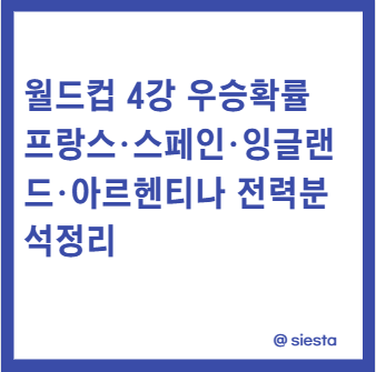 월드컵4강 배당분석